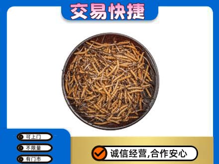 宜宾市江安回收散虫草